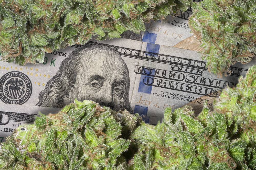 How to make money in pot investing