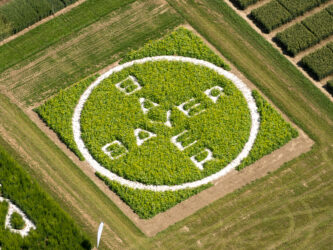 Aerial view of logo Bayer cut out in green cropfield.
