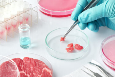 Meat sample in open disposable plastic cell culture dish in modern laboratory or production facility.